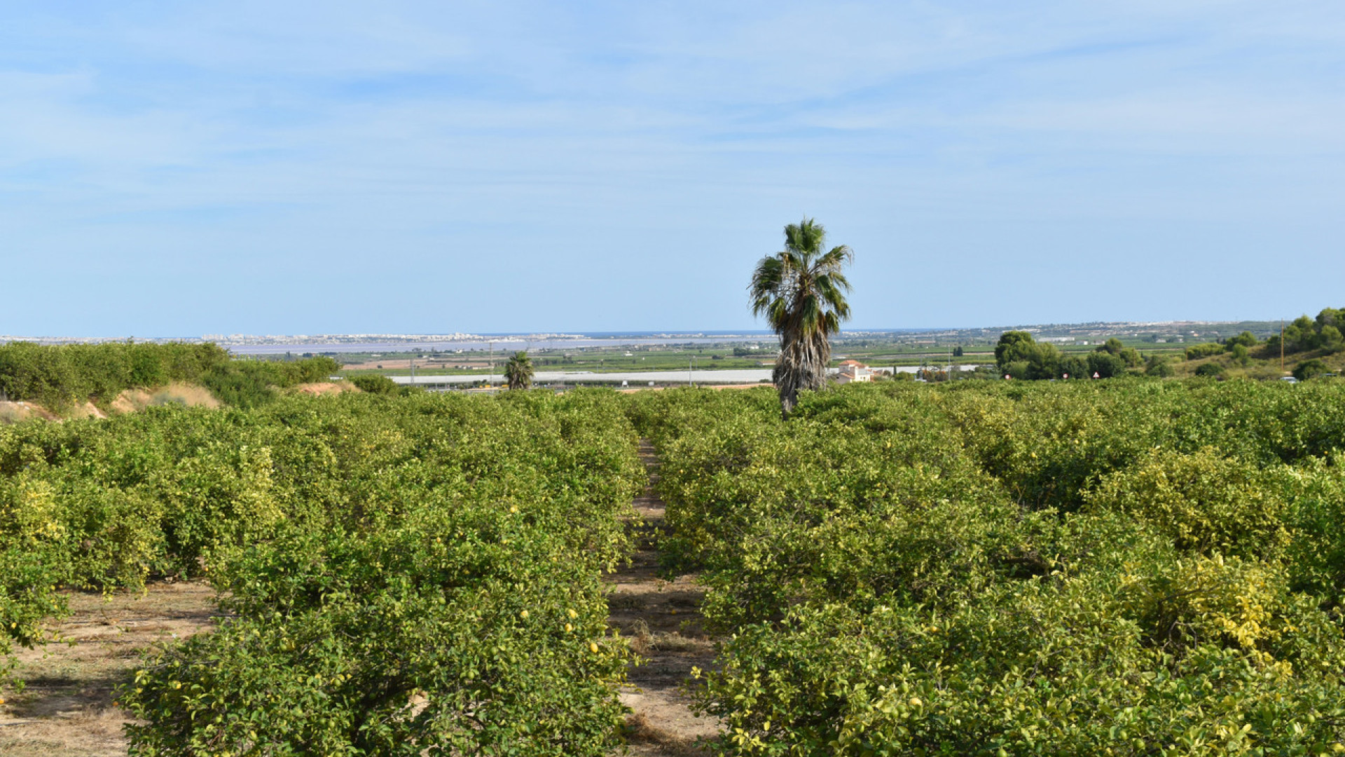 Resale - Detached Villa - Torremendo