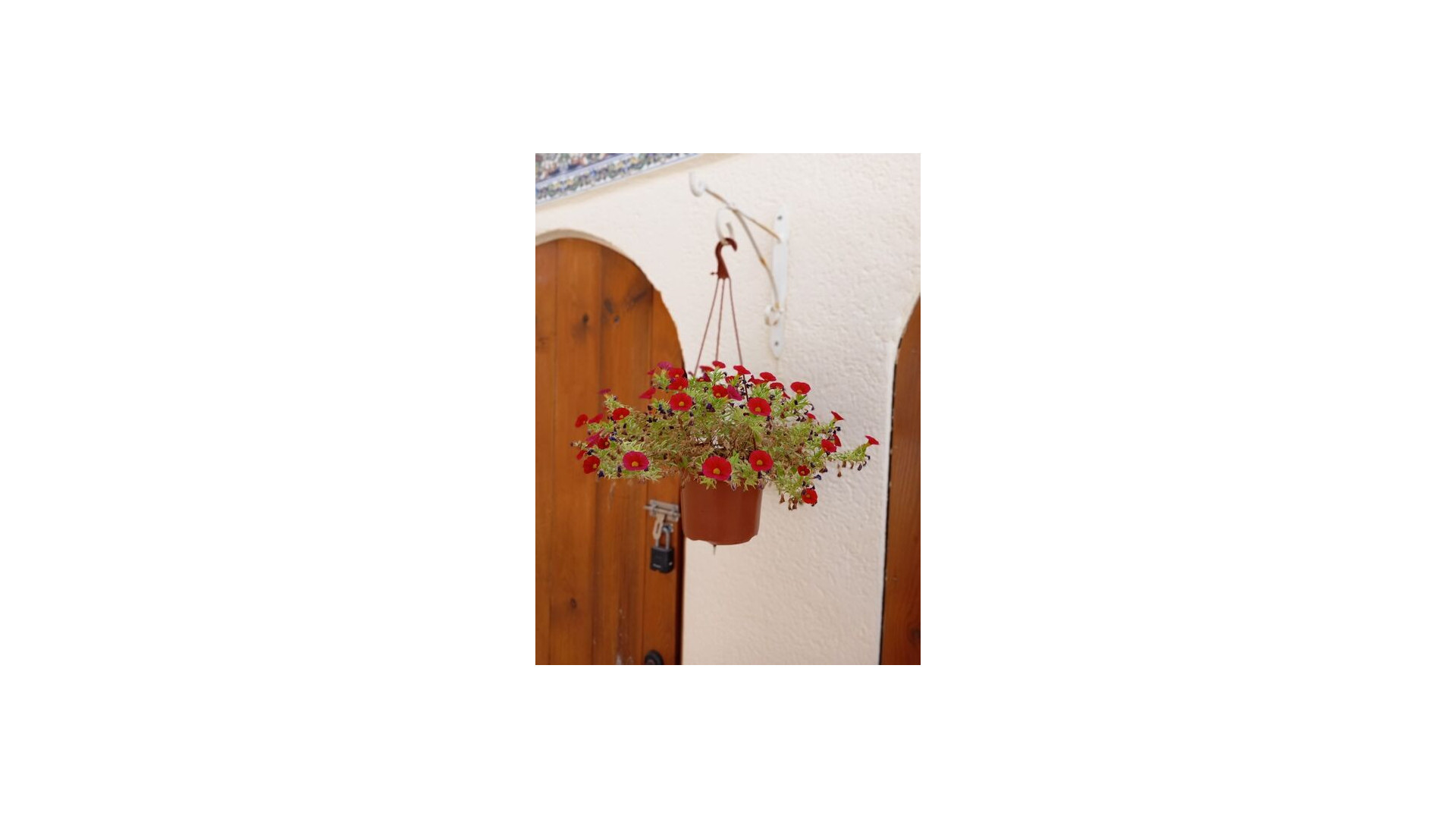 Resale - Detached Villa - Villamartin