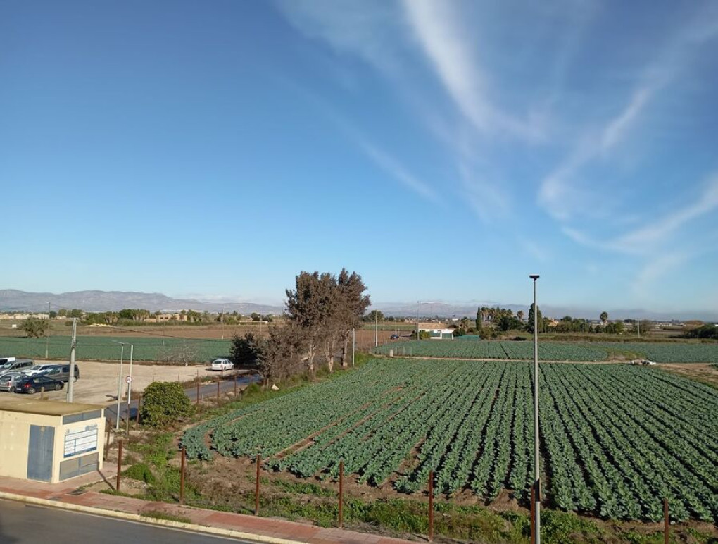 Resale - Двухуровневые апартаменты - Daya Vieja