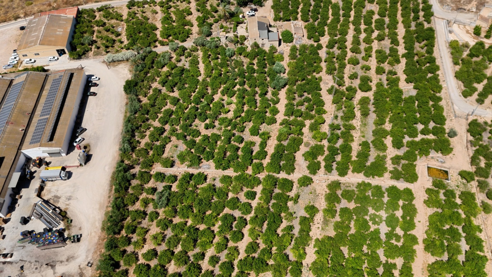 Resale - Finca Landimmobilie - Orihuela