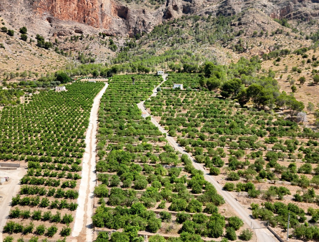 Resale - Finca Landimmobilie - Orihuela