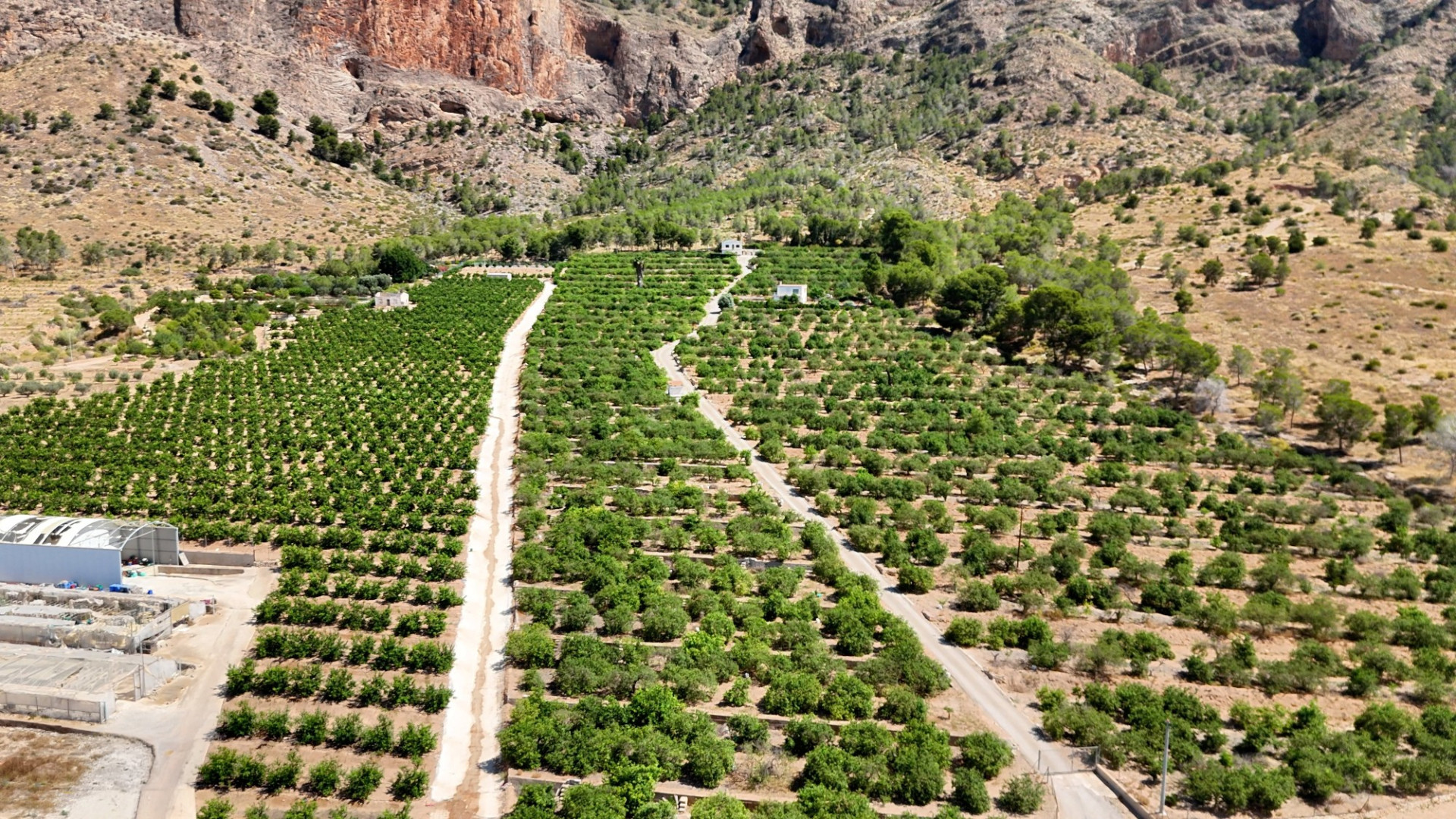 Resale - Finca Landimmobilie - Orihuela