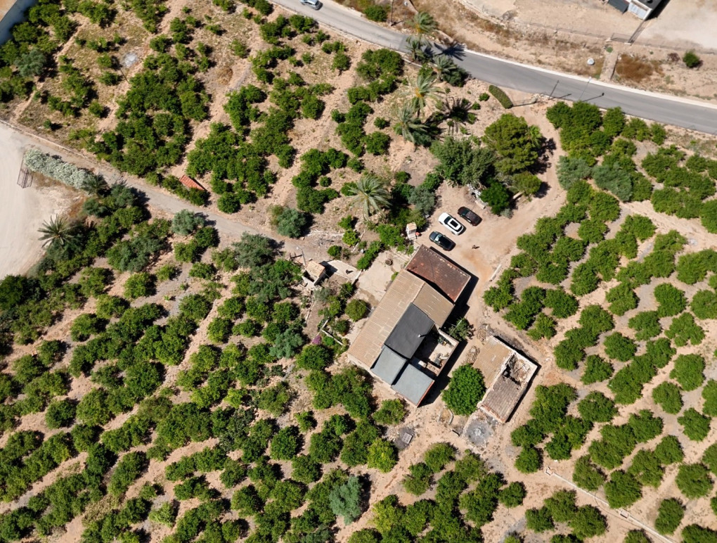 Resale - Finca Landimmobilie - Orihuela