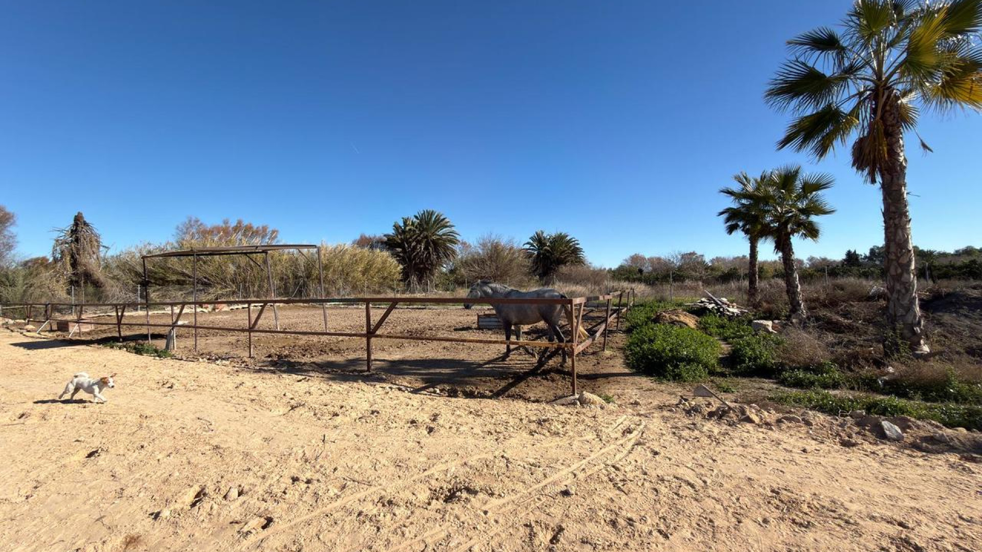 Resale - Grundstück / Land - Algorfa