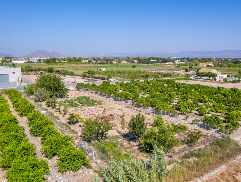 Resale - Grundstück / Land - Formentera del Segura - Formentera de Segura