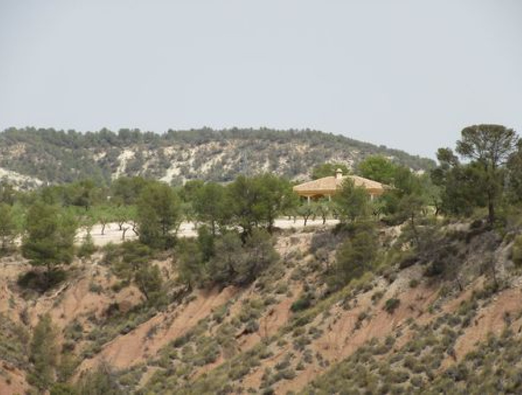 Resale - Grundstück / Land - Murcia