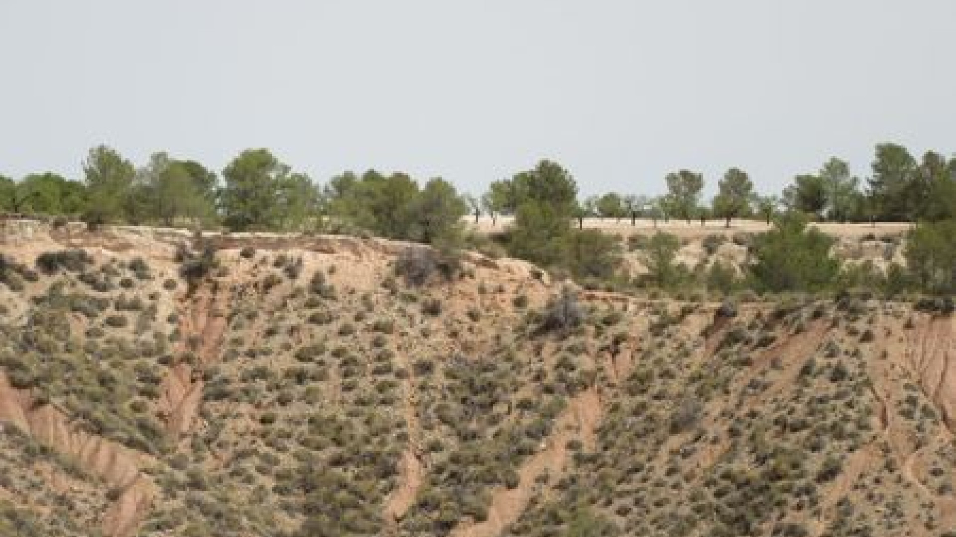 Resale - Grundstück / Land - Murcia