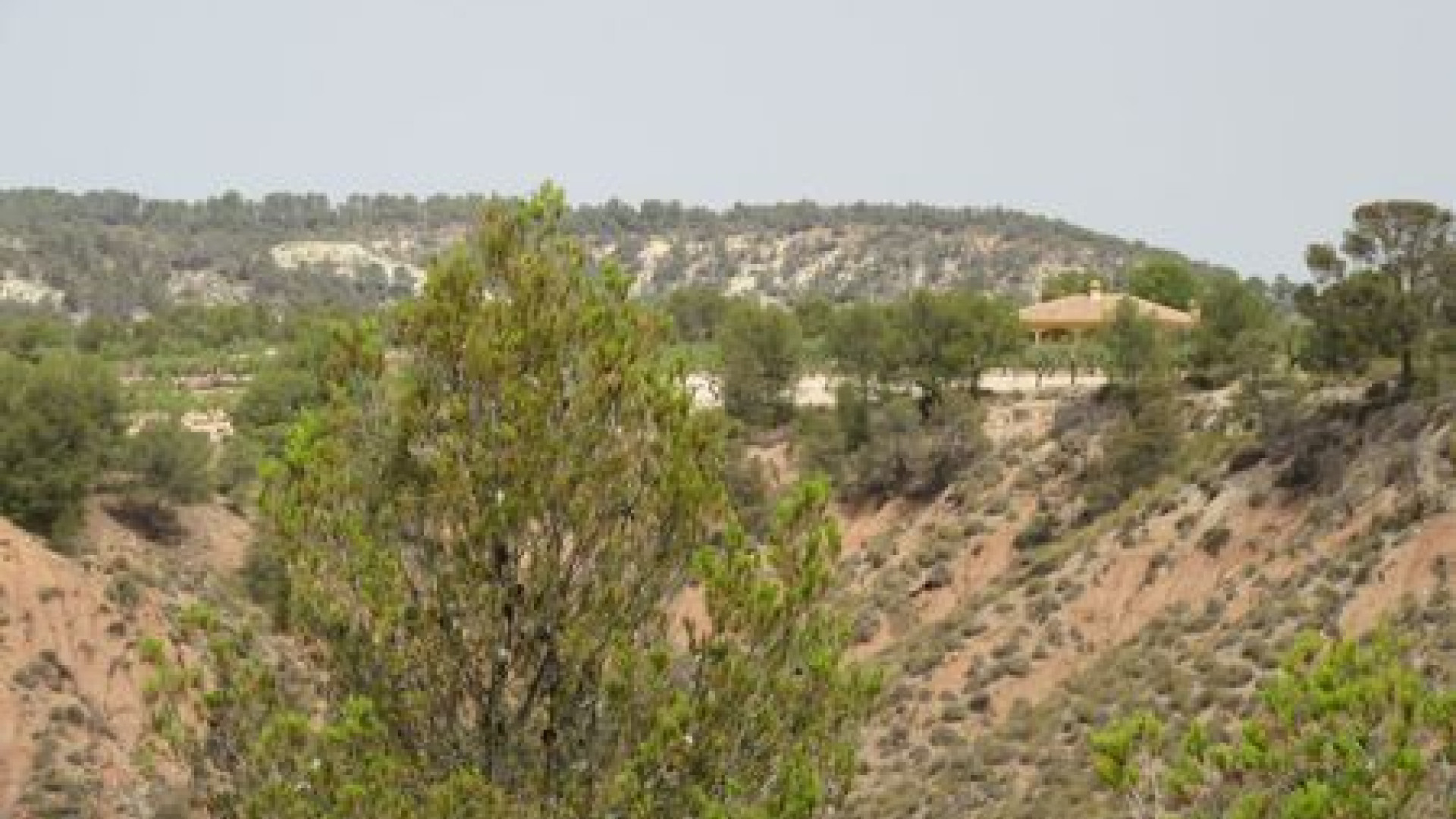 Resale - Grundstück / Land - Murcia