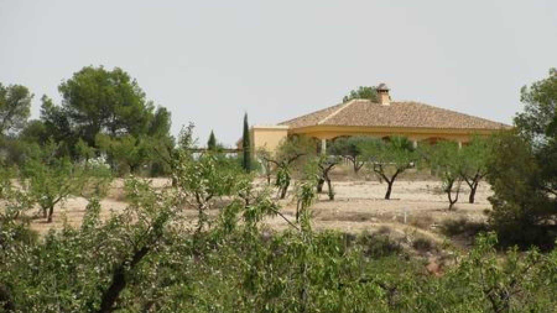 Resale - Grundstück / Land - Murcia