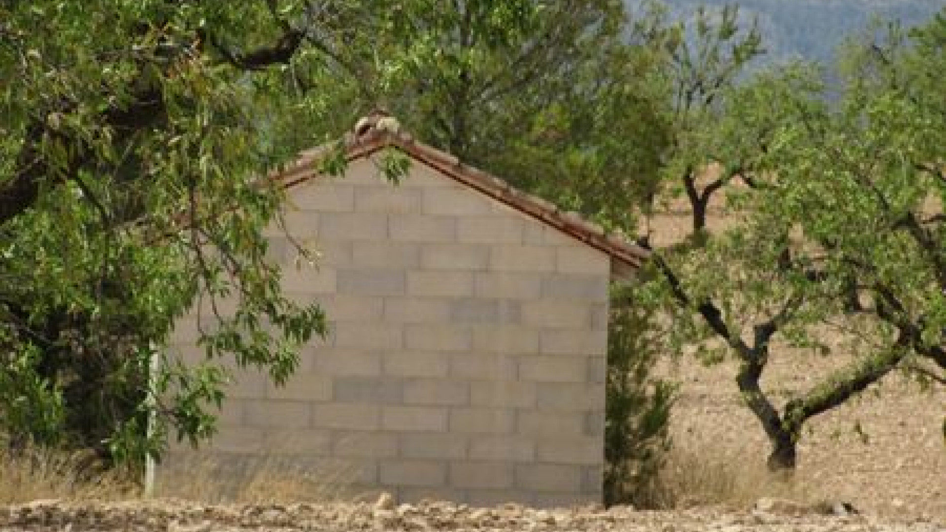 Resale - Grundstück / Land - Murcia