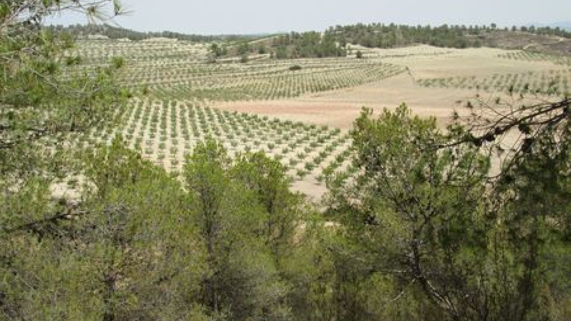 Resale - Grundstück / Land - Murcia
