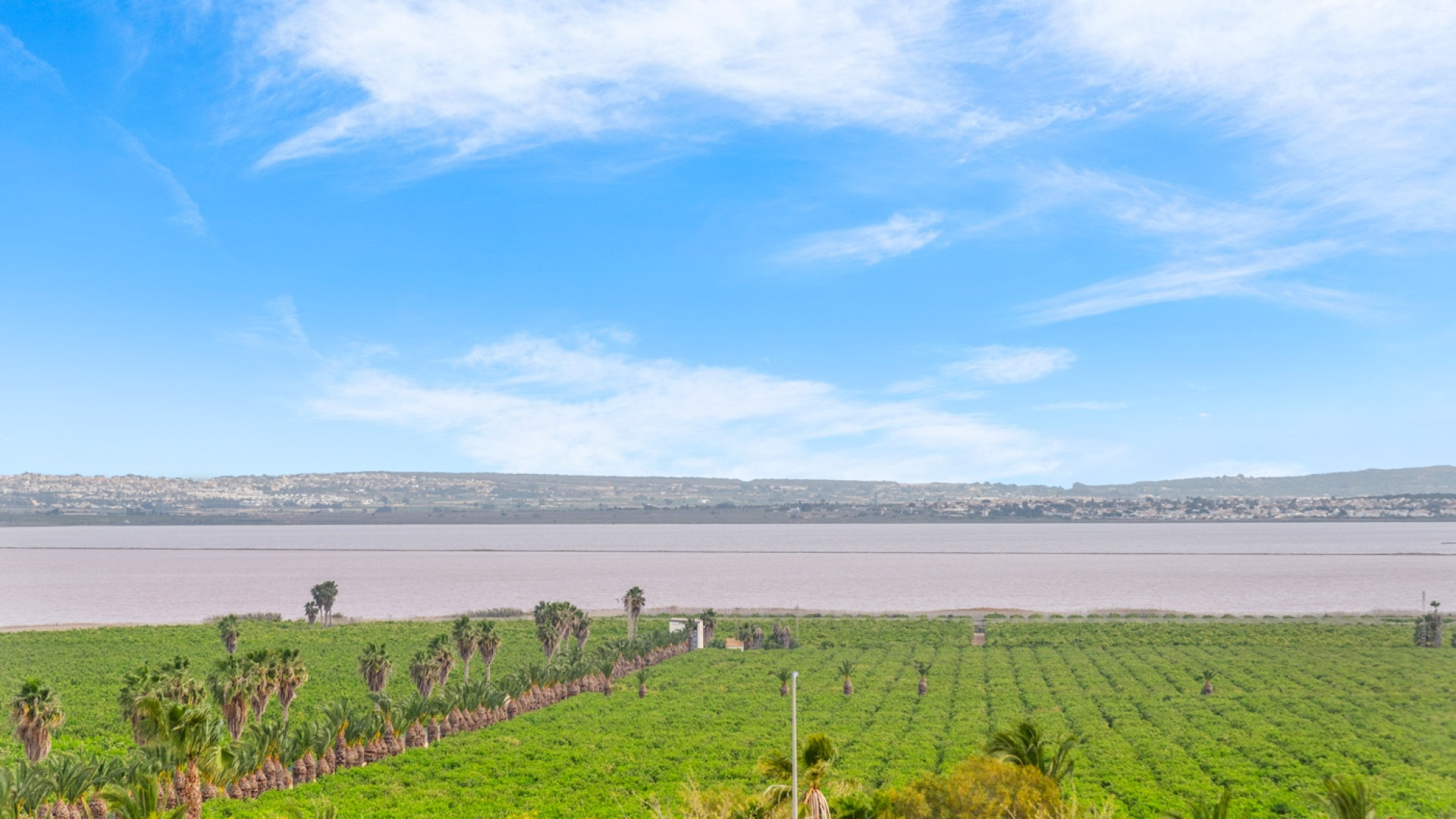 Resale - Квартира - Квартира на первом этаже - Los Balcones, Torrevieja - Los Balcones