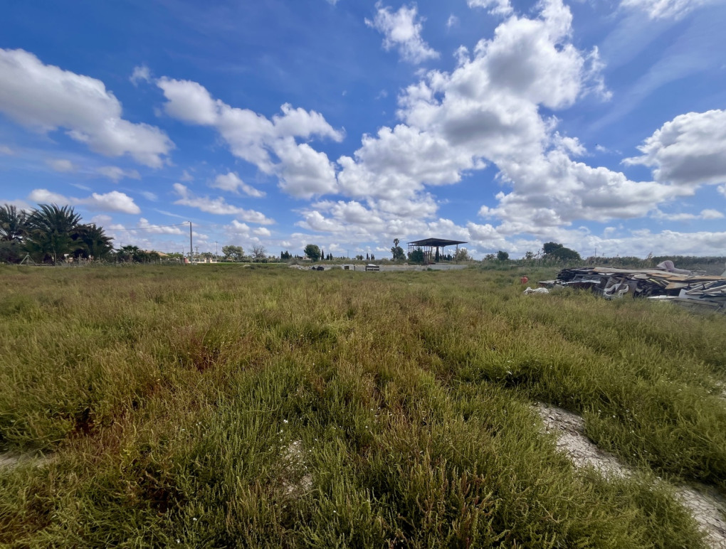 Resale - Plot / Land - Catral