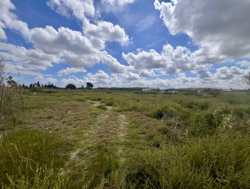 Resale - Plot / Land - Catral