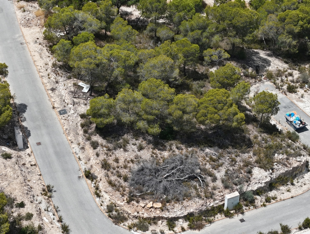 Resale - Plot / Land - Las Colinas Golf - Las Colinas Golf Resort
