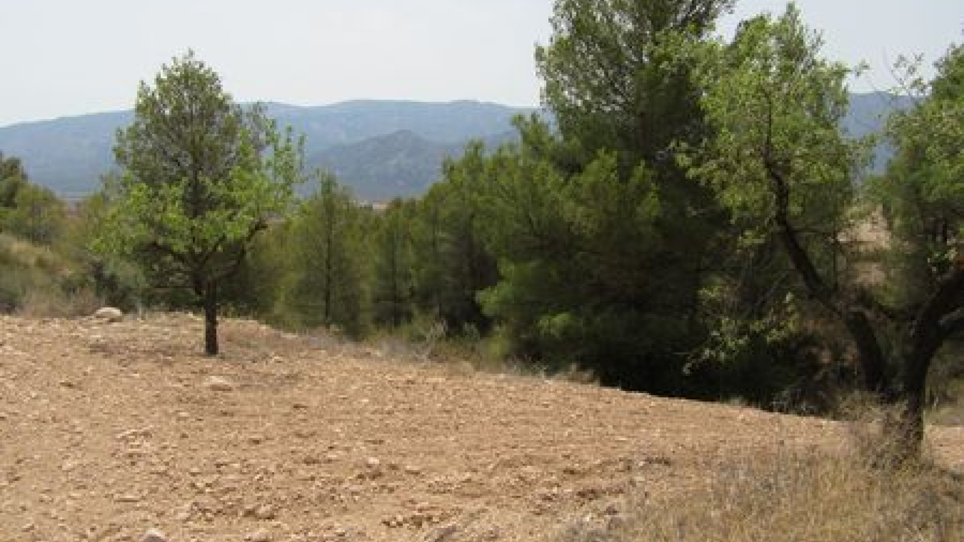 Resale - Plot / Land - Murcia