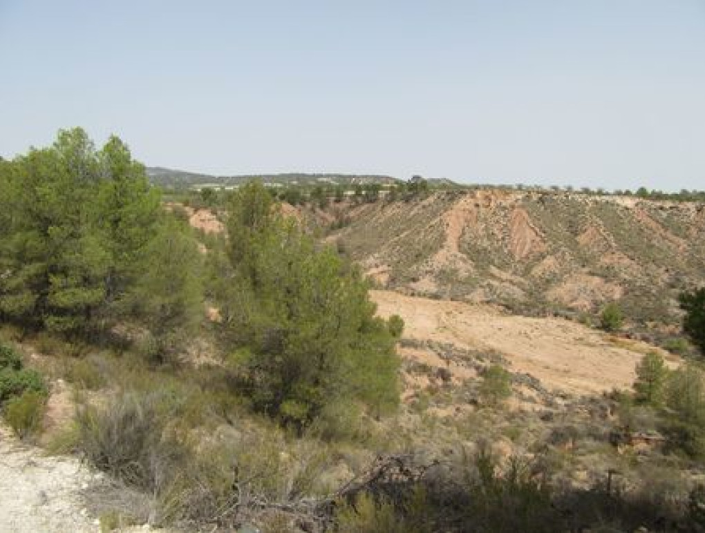 Resale - Plot / Land - Murcia
