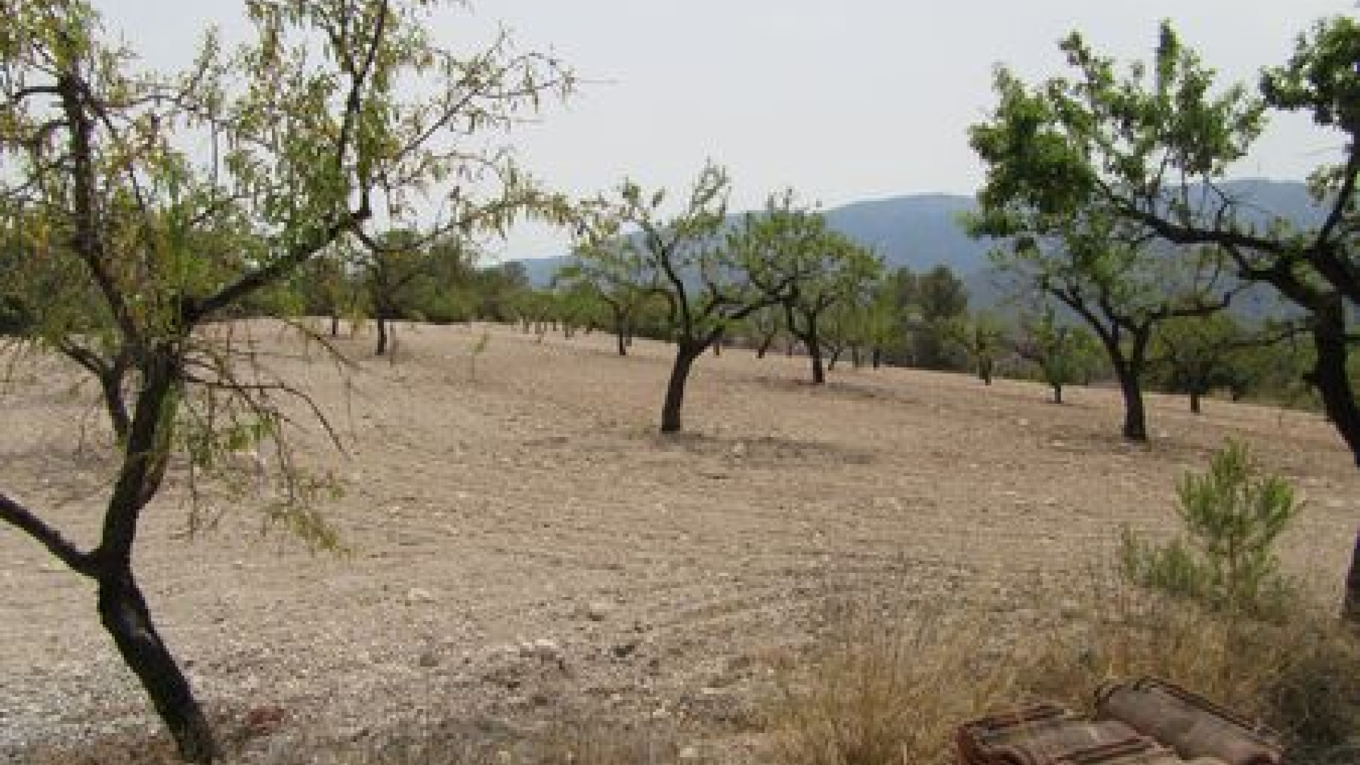 Resale - Plot / Land - Murcia