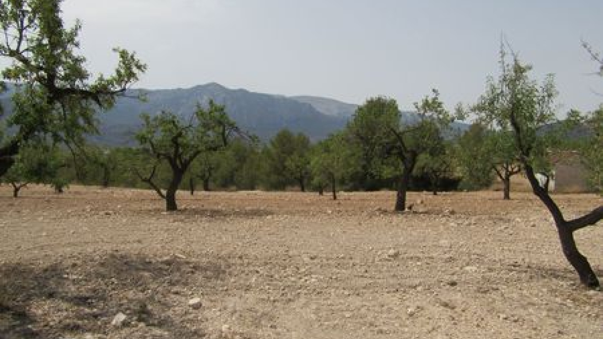 Resale - Plot / Land - Murcia