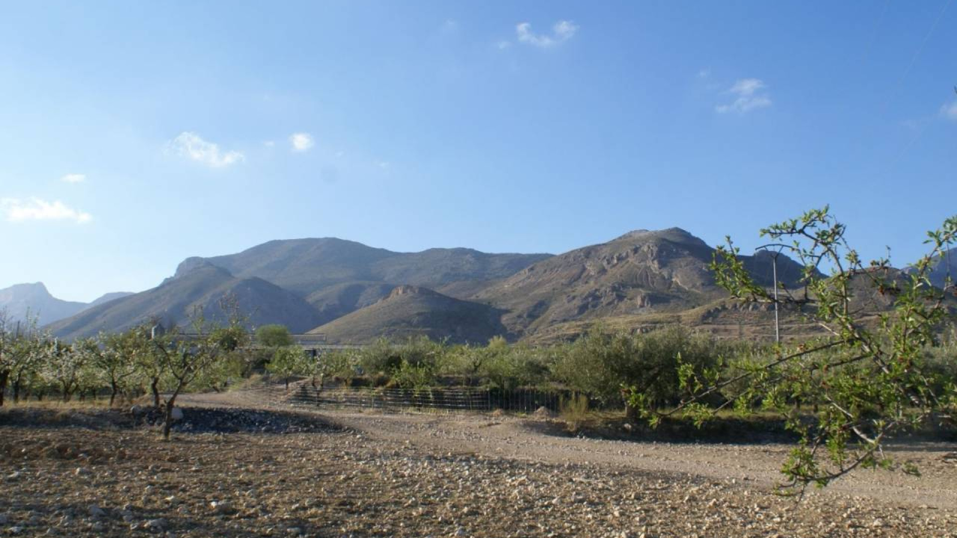 Resale - Plot / Land - Murcia