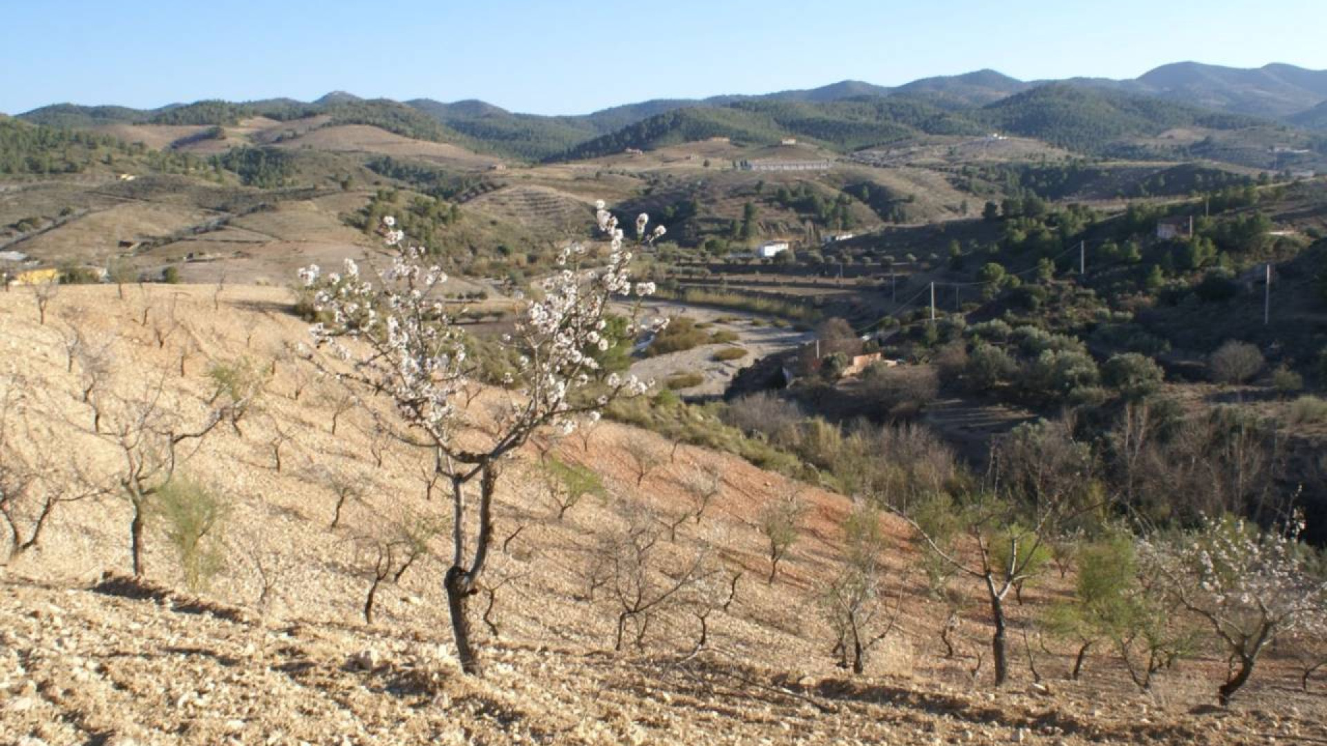 Resale - Plot / Land - Murcia