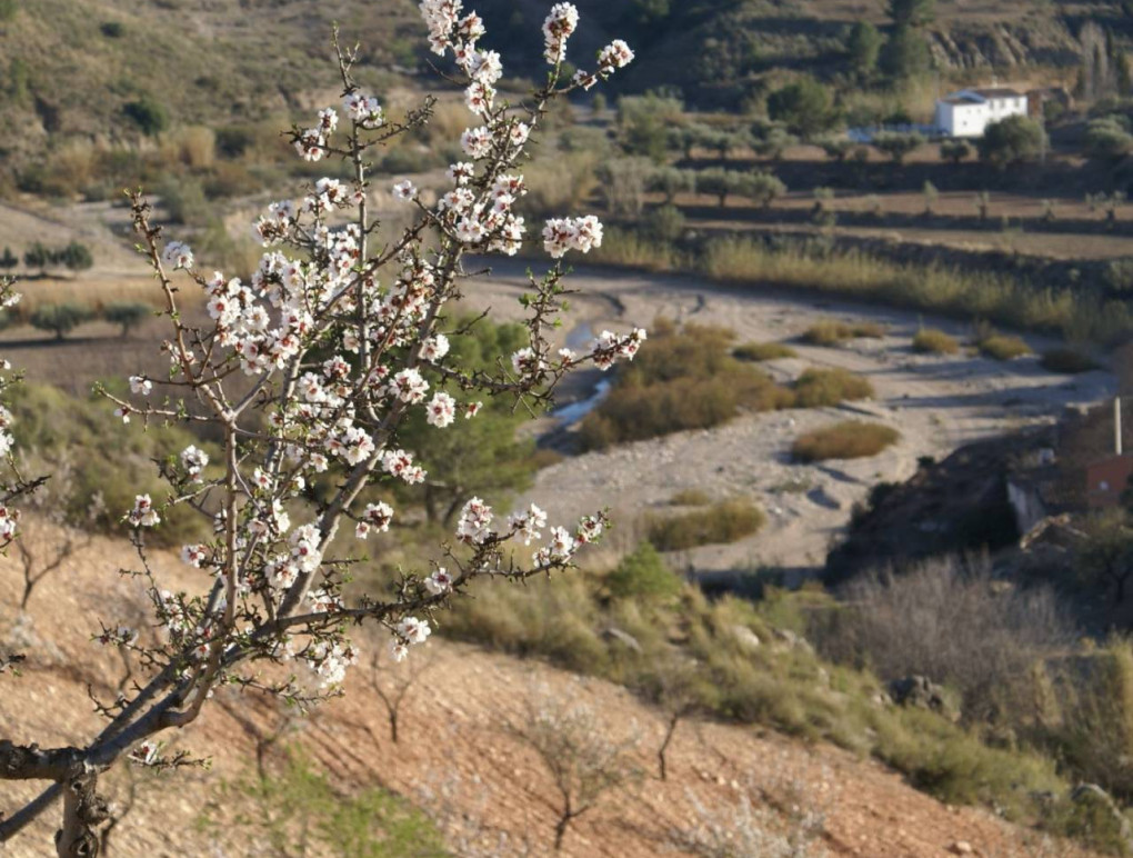 Resale - Plot / Land - Murcia