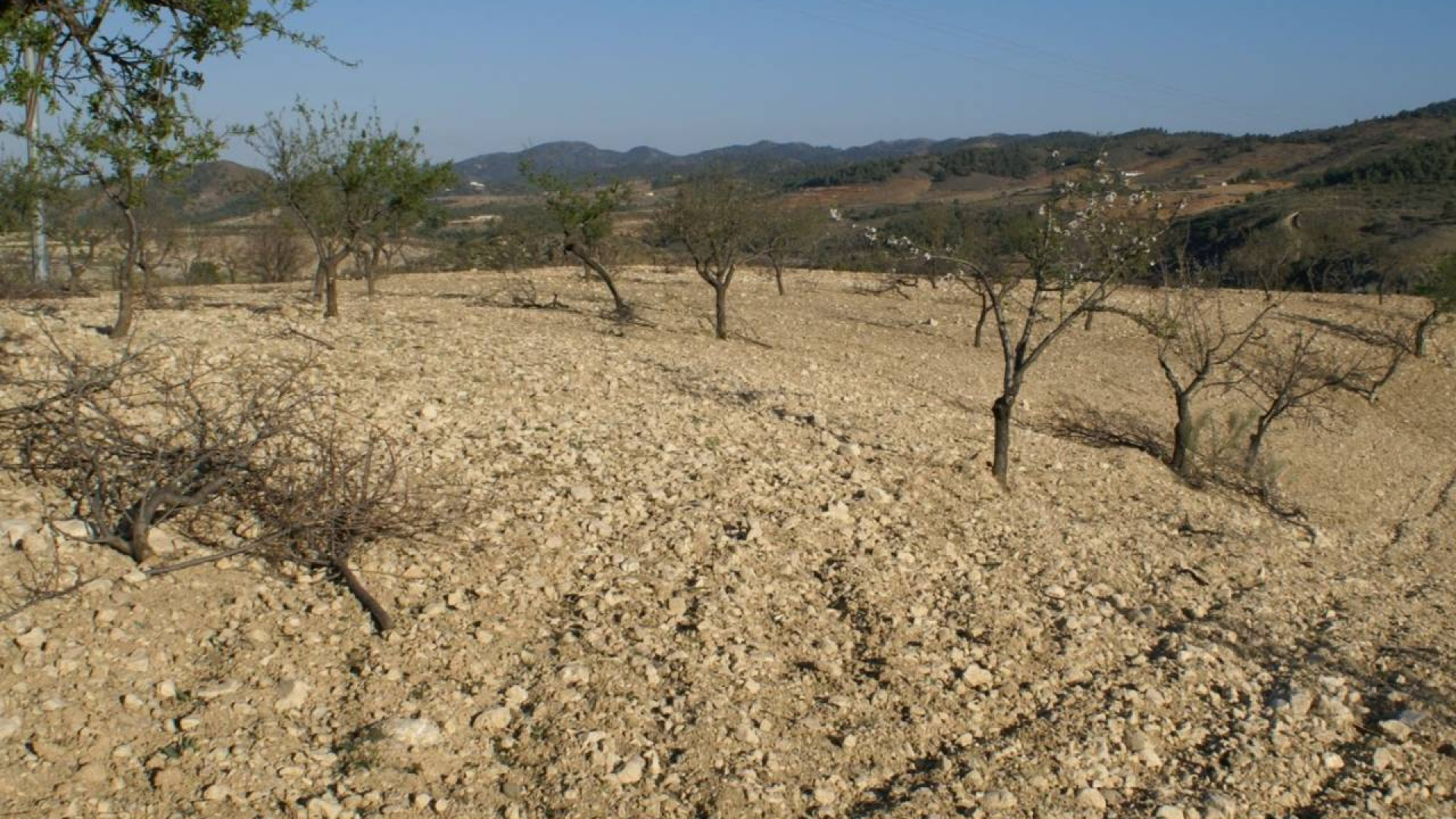 Resale - Plot / Land - Murcia