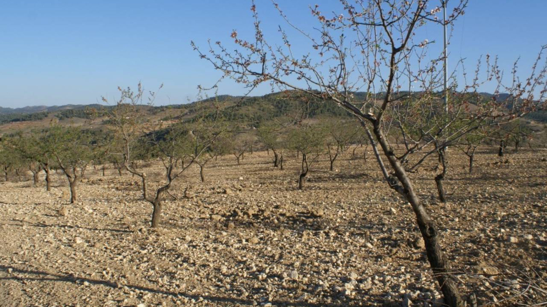 Resale - Plot / Land - Murcia