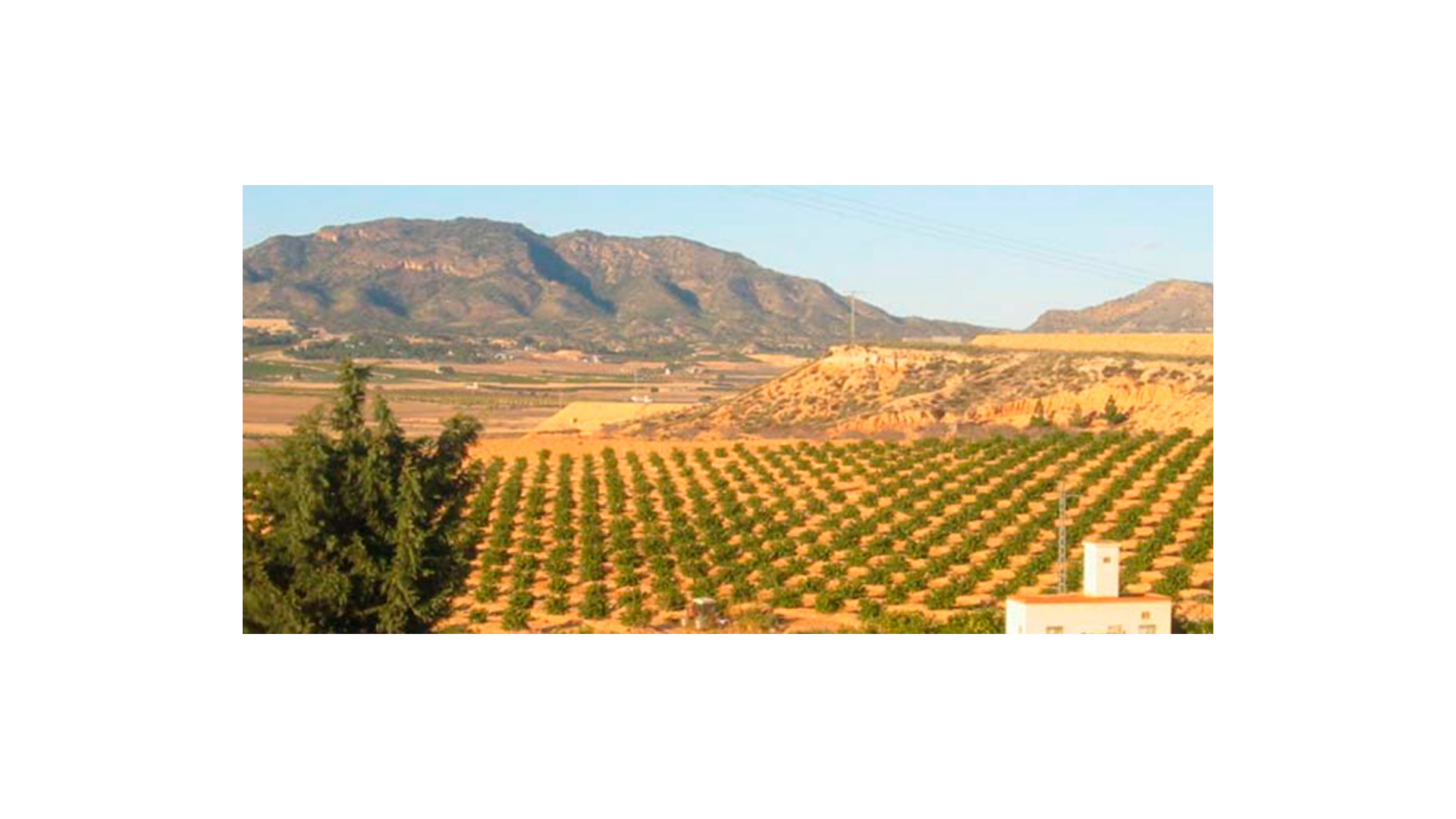 Resale - Plot / Land - Torre Pacheco