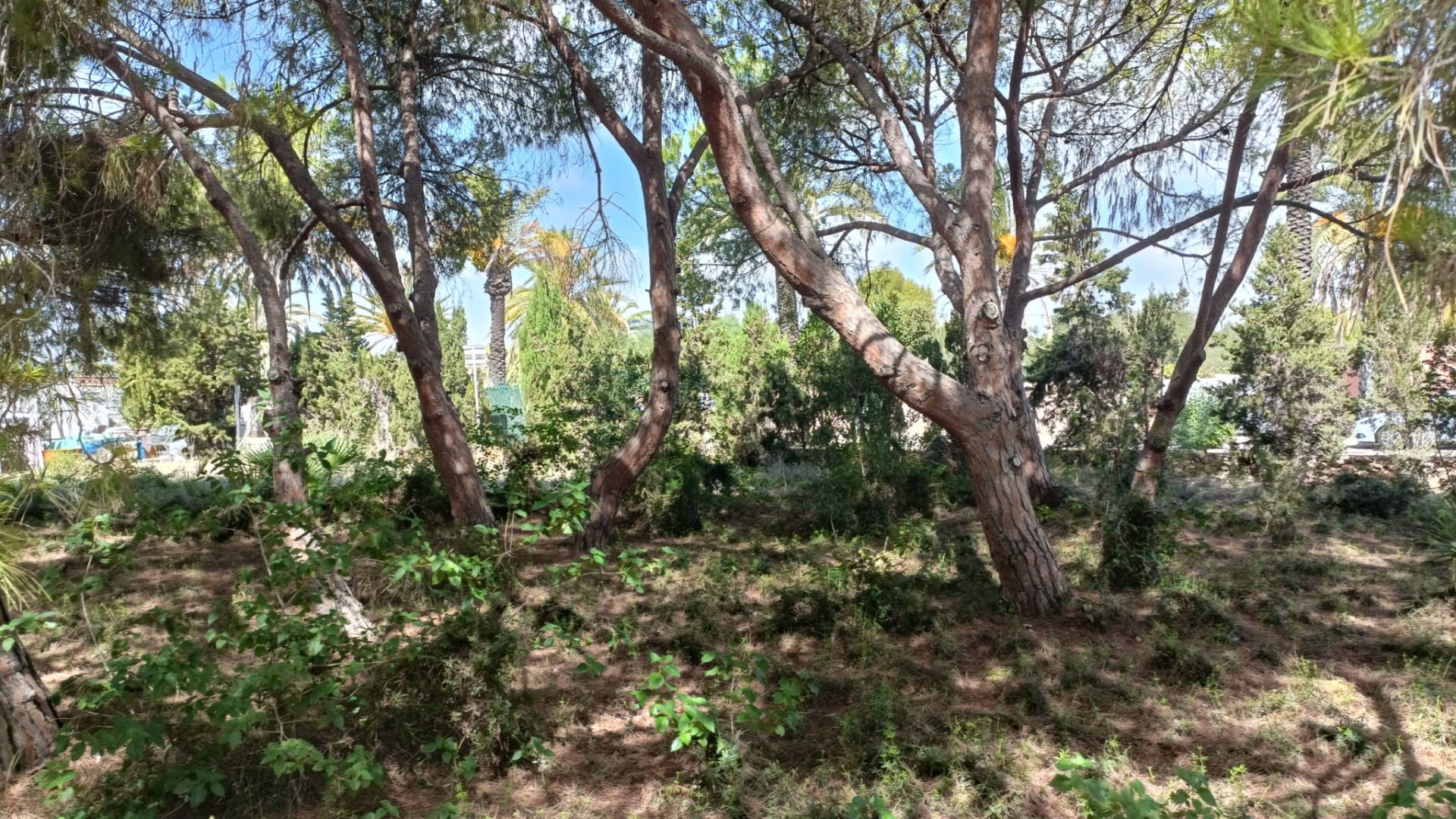 Resale - Plot of Land - Cabo Roig