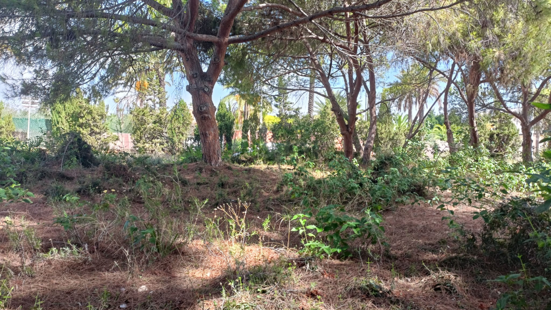 Resale - Plot of Land - Cabo Roig