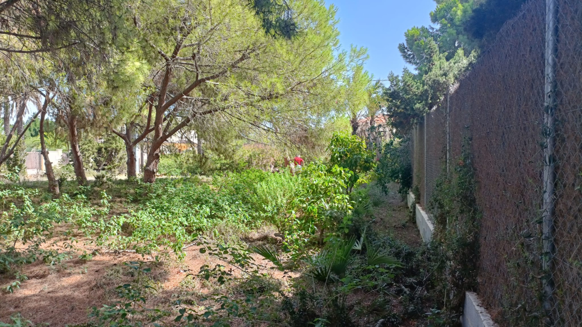 Resale - Plot of Land - Cabo Roig