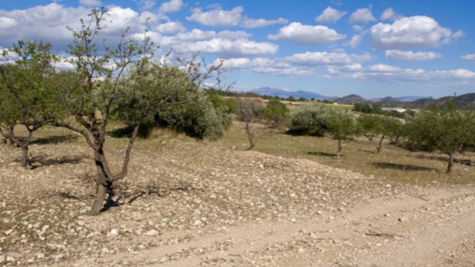 Resale - Plot of Land - Murcia