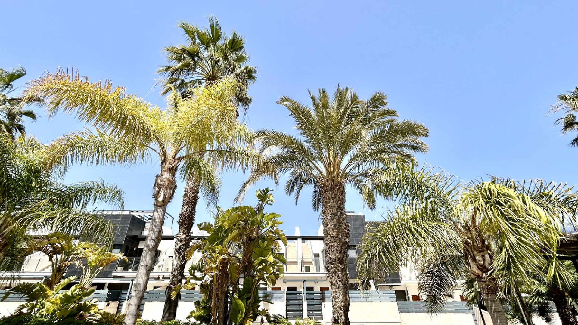 Resale - Townhouse - Los Dolses