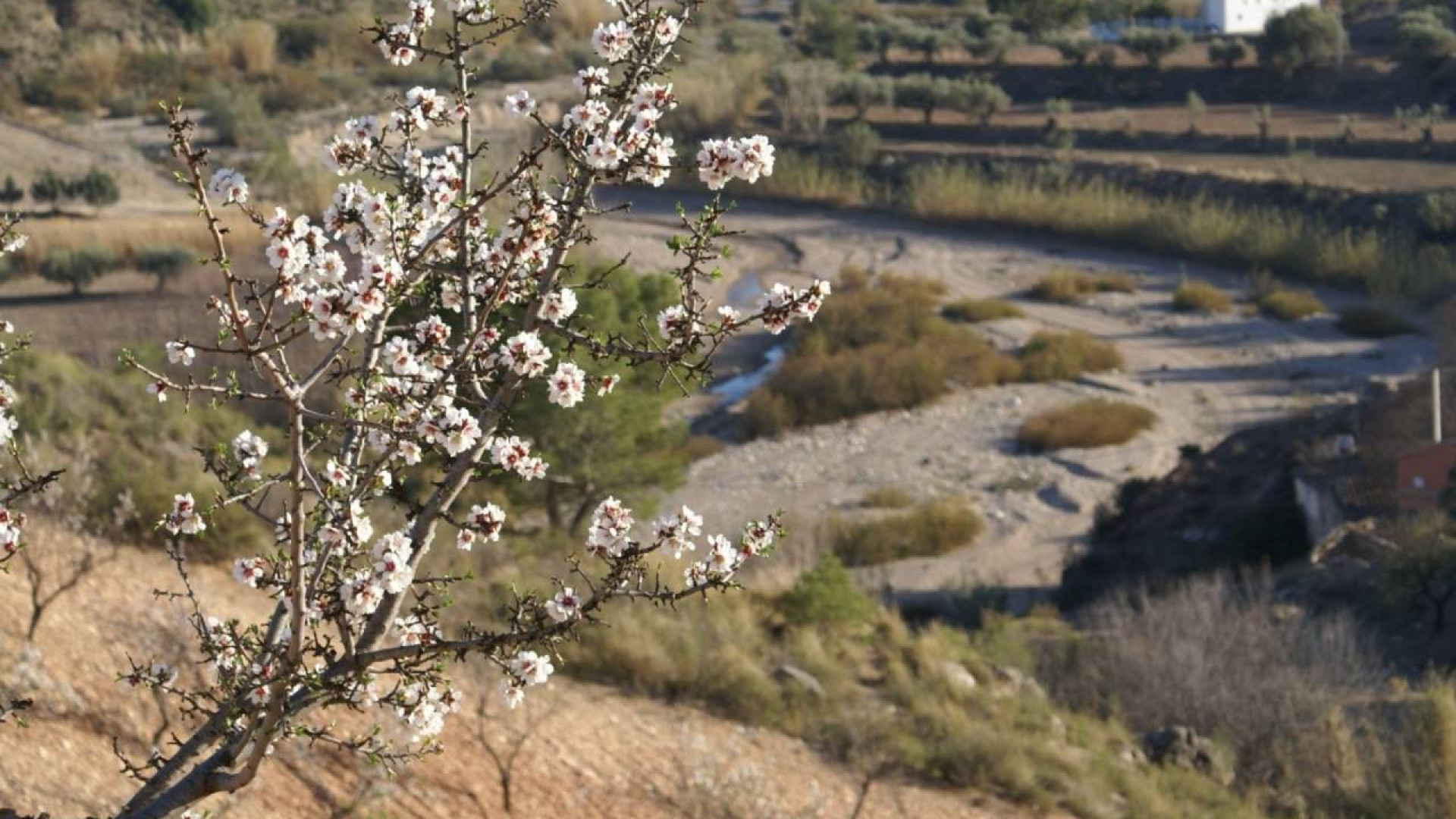 Resale - Участок / Земля - Murcia