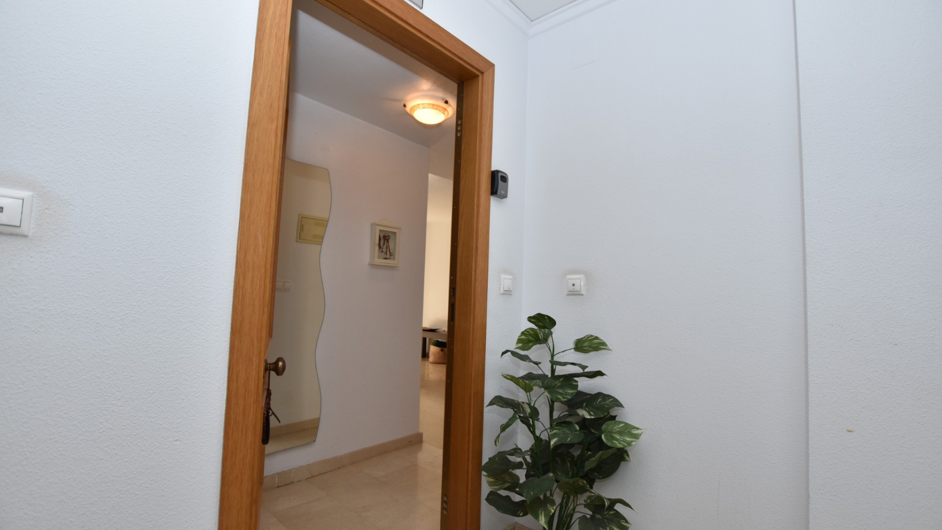 Revente - Apartment - Algorfa