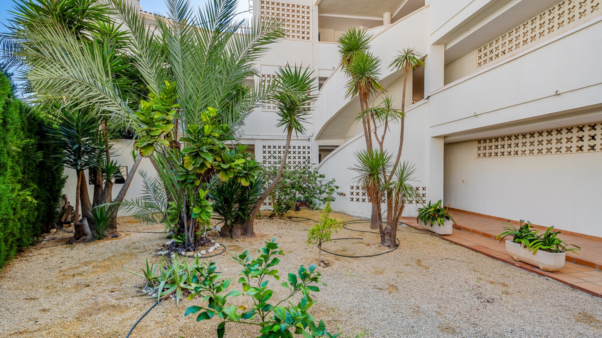 Revente - Apartment - Altea