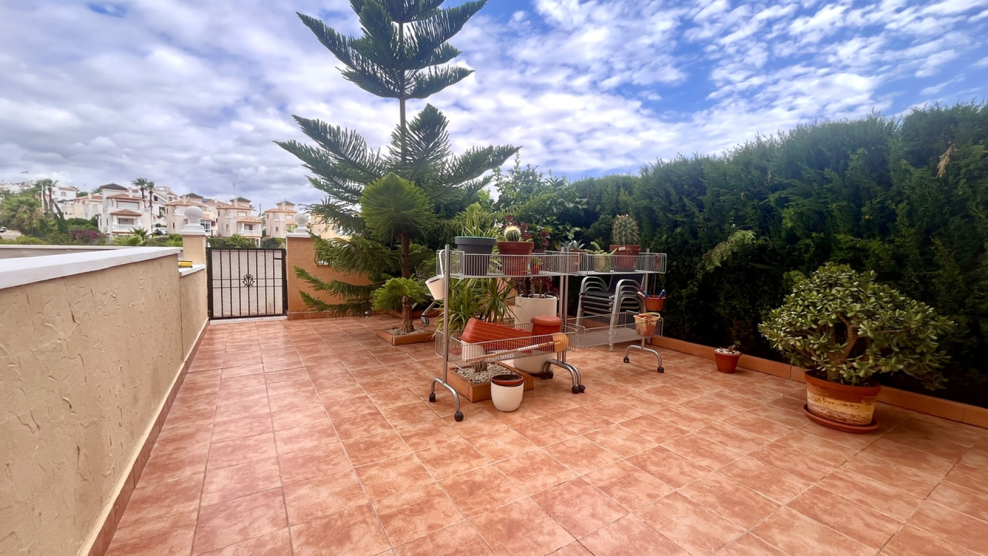 Revente - Apartment - Cabo Roig