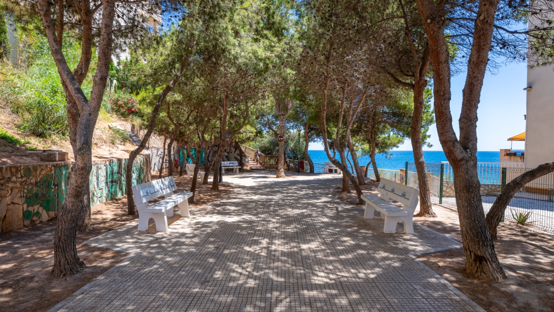 Revente - Apartment - Cabo Roig