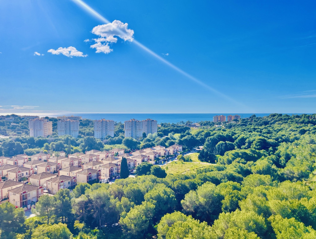 Revente - Apartment - Dehesa de Campoamor - Dehesa de campoamor