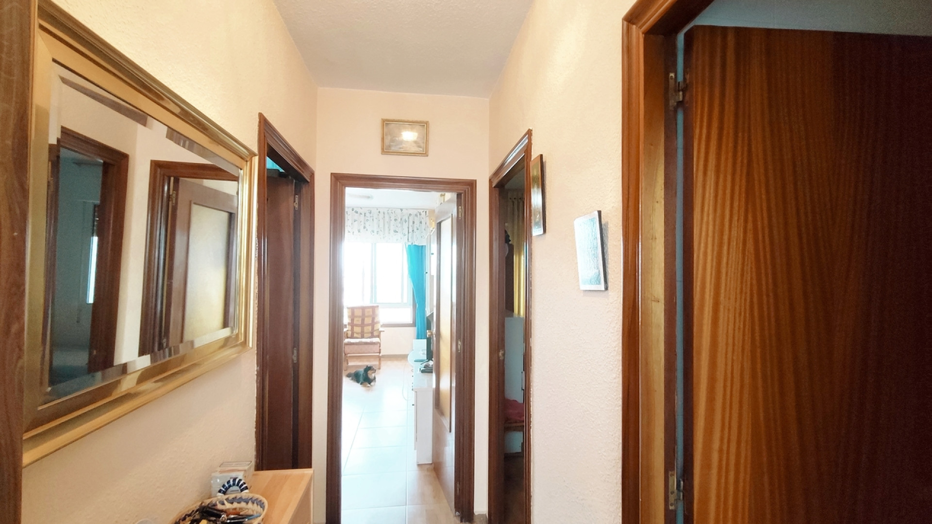 Revente - Apartment - La Zenia