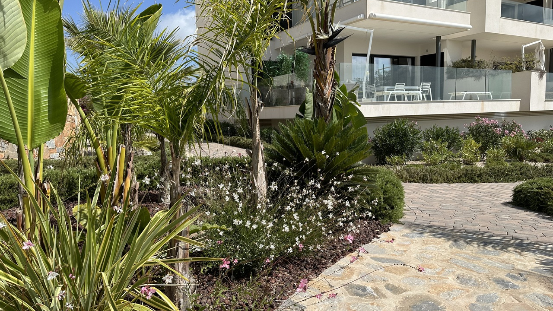 Revente - Apartment - Las Colinas Golf - Las Colinas Golf Resort