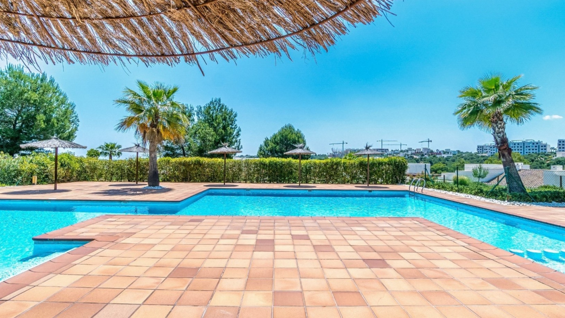 Revente - Apartment - Orihuela Costa - Las Colinas Golf