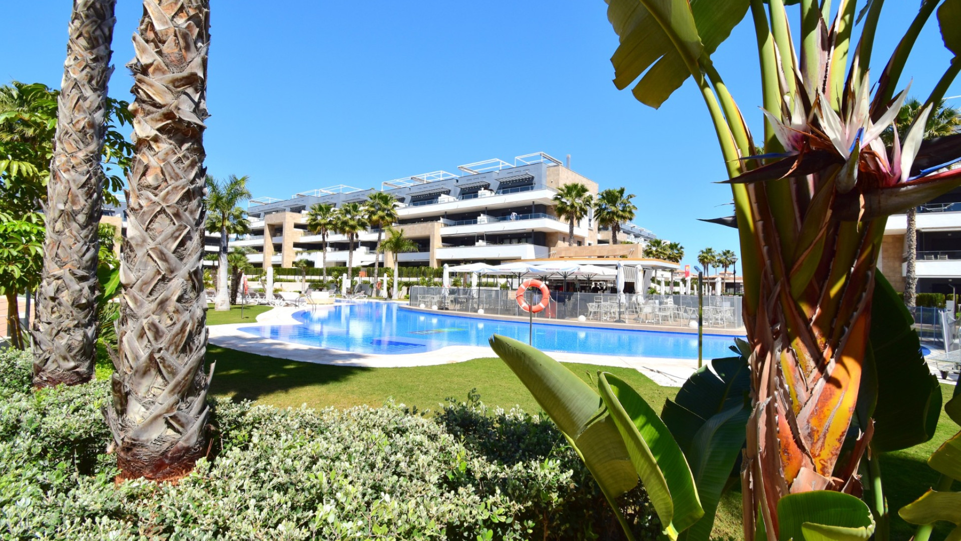 Revente - Apartment - Orihuela Costa - Playa Flamenca