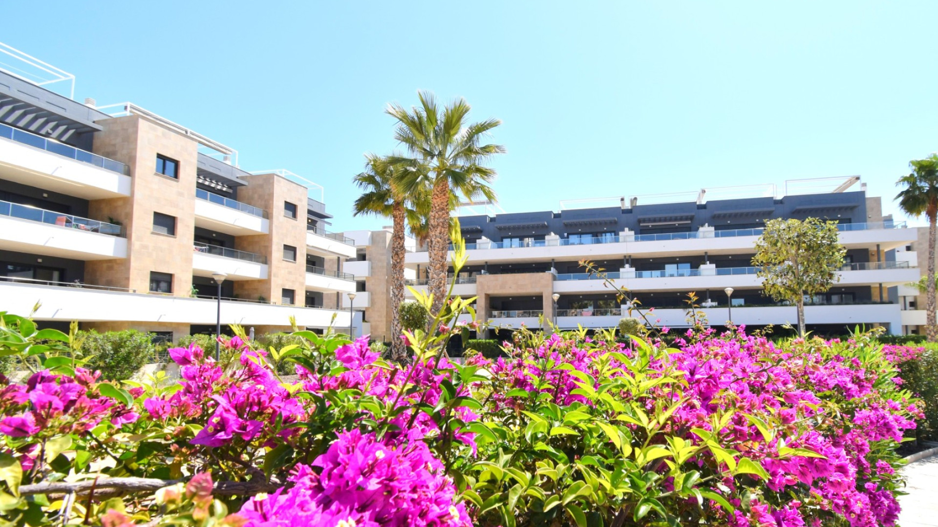 Revente - Apartment - Orihuela Costa - Playa Flamenca