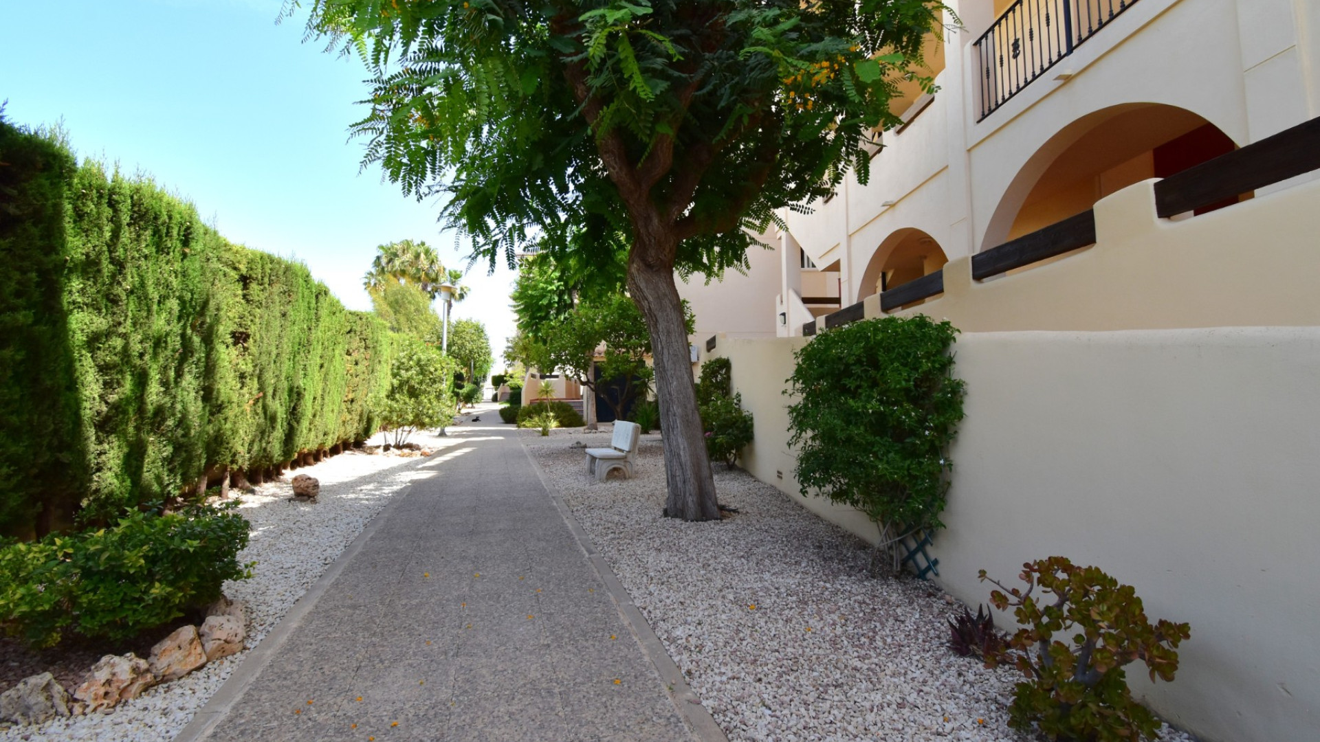 Revente - Apartment - Orihuela Costa - Playa Flamenca