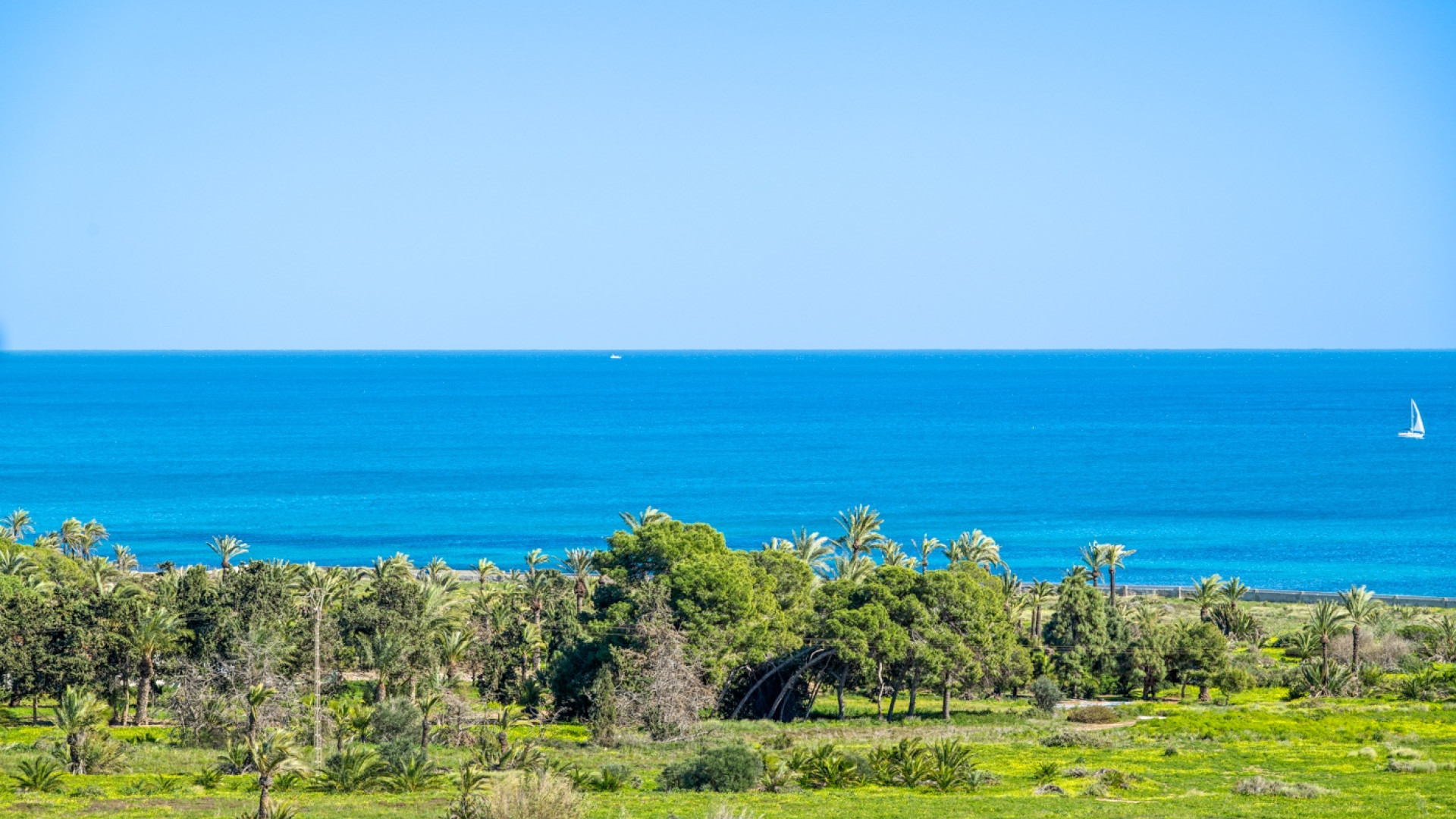 Revente - Apartment - Orihuela Costa - Punta Prima