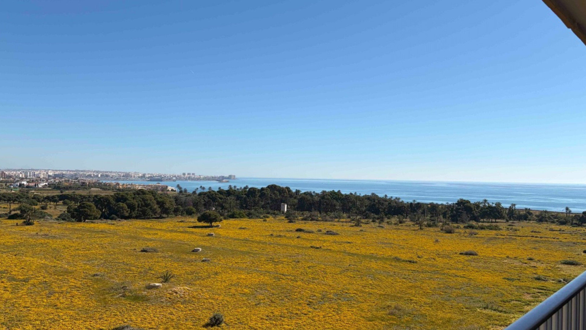 Revente - Apartment - Orihuela Costa - Punta Prima