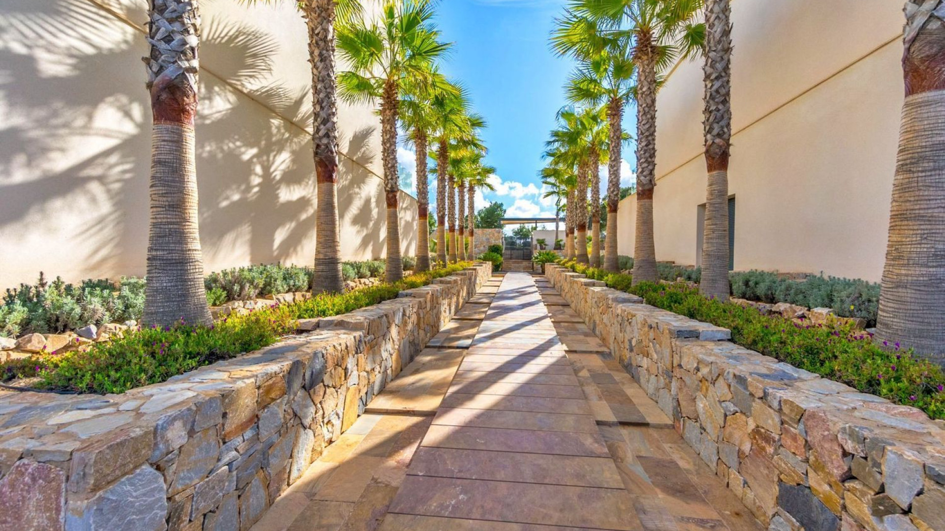 Revente - Apartment - Orihuela - Las Colinas Golf