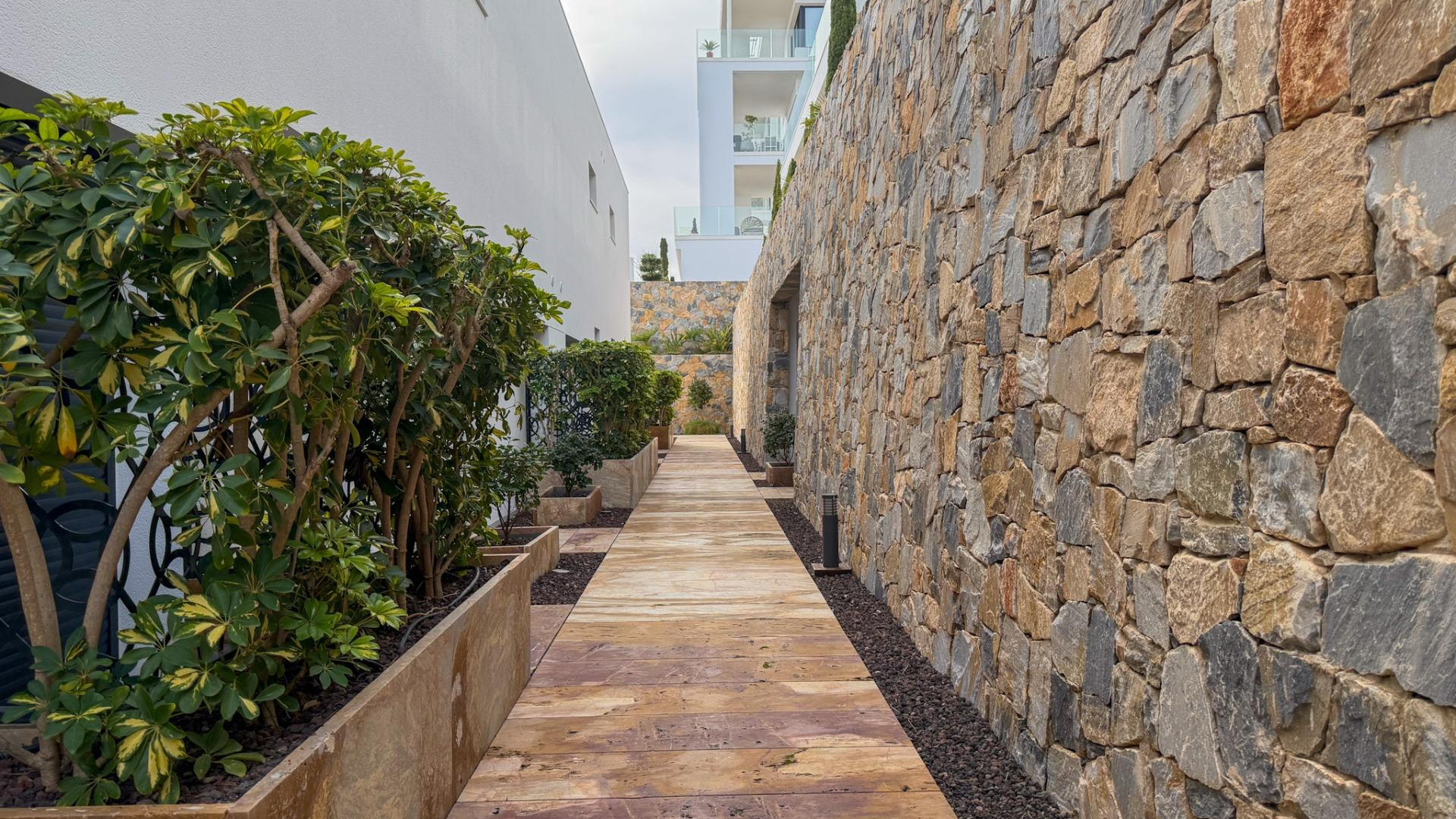 Revente - Apartment - Orihuela - Las Colinas Golf